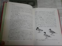 動物の分類　　理論と実際　今泉吉典著　　初版函　ヤケシミ汚有　H2左1