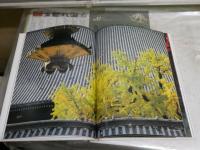 古都紅葉　　写真・浅野喜市　文・竹西寛子　　初版　ヤケシミ汚褪色有　