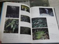 沖縄の生物　　生態写真集　　監修・池原貞雄　初島住彦　　初版　ヤケシミ汚難痛有　印有　E1左中　　ゆうパック送付