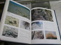 沖縄の生物　　生態写真集　　監修・池原貞雄　初島住彦　　初版　ヤケシミ汚難痛有　印有　E1左中　　ゆうパック送付