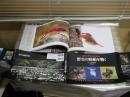 野生の鼓動を聴く　　琉球の聖なる自然遺産　　撮影・山城博明　解説・花輪紳一　　1刷　H2左1