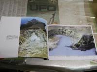 野生の鼓動を聴く　　琉球の聖なる自然遺産　　撮影・山城博明　解説・花輪紳一　　1刷　H2左1