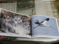 野生の鼓動を聴く　　琉球の聖なる自然遺産　　撮影・山城博明　解説・花輪紳一　　1刷　H2左1