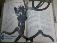 パピルス　PAPURUS　　週刊プレイボーイ特別増刊号　　E1左中
