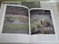 TIGER 　ODYSSEY　　吉野信写真集　初版　署名入り　少難有　E1左中
