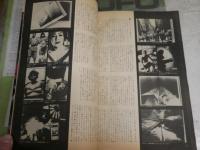写真芸術　　創刊号　ヤケ少汚有　ロバートキャパ全記録　森山大道は死んだ　ほか　　E9右下段