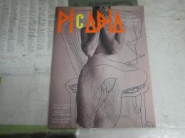 PICABIA　　ピカビア　創刊準備号　トーク・浅田彰柏木博　ジェフウォールアートと写真の間に小倉正史　ほか　　ヤケシミ汚有　E9右下段