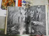 虎に関連する書籍作品　6冊セット　・虎を求めてインド野生紀行戸川幸夫　・虎を撃つハンター世界一の記録田中鈞一　・滅びゆく森の王者インドトラの行動と生態チャールズ・マクドゥーガル　・人喰い虎を追って日本のハンター藤田正男　・ライオンはなぜ人喰いになったか小原秀雄　・野生ネコの百科今泉忠明　　ヤケシミ汚有　H2左上段　レターパックプラス送付