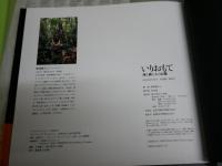 いりおもて　　海と森と人と山猫　横塚眞己人著　写真　初版1刷帯　E2左中