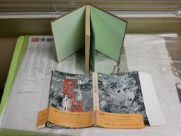 ガダルカナル戦詩集　　井上光晴小説集　　1刷帯　ヤケシミ汚多し　難痛有　J1左1