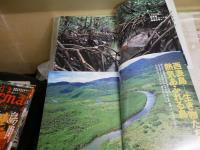 西表島に関しての雑誌・ムック10冊セット　ヤケシミ汚有　ゆうパック送付　80サイズ　　H2左4下
