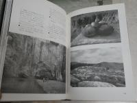 脱「風景写真」宣言　　2010年の花鳥風月　　宮嶋康彦著　　1刷帯　J2中