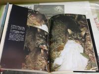 ムック3冊セット　・動物の生態図鑑　大自然の不思議　初版　カバー少難有　・イリオモテヤマネコ　南海の秘境に生きる　初版1刷　ヤケシミ少汚有　・日本の美　18離島　ヤケシミ汚有　ゆうパック送付　　H1右2下段