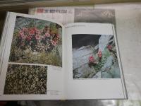 ヨーロッパの高山植物　　大場達之著　2刷函　少汚少難有　E3左