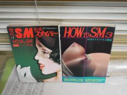 S＆M別冊スナイパー　増刊　　特集HOW　TO　SM　1・2　　計2冊セット　ヤケシミ汚難有　送料300円　E1左上
