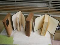 ・現代ドイツ文学　　W・グレンツマン著　宇多五郎譯　　昭和34年7月初版函　書込み1頁有　線消し残り跡有　・現代ドイツ文学　　現代世界文学研究叢書　手塚富雄　佐藤晃一　昭和34年12月初版函　2冊ともヤケシミ汚多し　難痛有　レターパックプラス送付
