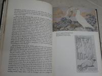 Partrait　of an Artist  CONAN DOYLE  ハードカバー　

 