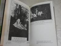 Partrait　of an Artist  CONAN DOYLE  ハードカバー　

 
