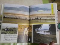 ・里海の生活誌　文化資源としての藻と松　・里海の自然と生活　海、湖資源の過去現在未来