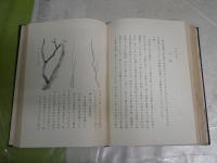 東洋画論　　裸本　再版　2000部