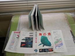 海の魚　　フィールド・ガイド13　　田口哲　