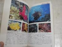 海の魚　　フィールド・ガイド13　　田口哲　