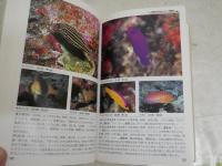 海の魚　　フィールド・ガイド13　　田口哲　