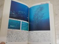 海の魚　　フィールド・ガイド13　　田口哲　