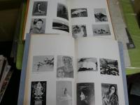 図録カタログ4冊セット　　・パノラマ79・83年　日本画壇の全貌展　彩壺堂　2冊　・日本画戦後の歩み2　開館五周年記念展　いわき市美術館　1988年　・日本画現代の視角　1990年　新潟市美術館　計4冊セット