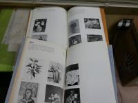 図録カタログ4冊セット　　・パノラマ79・83年　日本画壇の全貌展　彩壺堂　2冊　・日本画戦後の歩み2　開館五周年記念展　いわき市美術館　1988年　・日本画現代の視角　1990年　新潟市美術館　計4冊セット