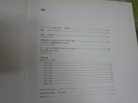 ジャスパージョーンズ展　　カタログ日本語版