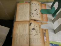 宝石　　探偵小説　　不揃5冊セット　　ヤケシミ汚多し　難痛有　1冊裏表紙欠　　11巻3・4・6・7・12号　E5左　　レターパックプラス送付