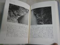 さらば群青　　回想は逆光の中にあり　　野村秋介　　5刷　　ヤケシミ汚難痛有　J3右2