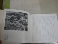 荒川豊蔵展　　大萱築窯40周年記念　文化勲章に輝く　　ヤケシミ汚有　E2左中