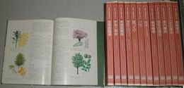 グリーンライブラリー　12冊揃　世界の園芸百科　バラ　庭づくり