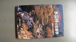 水辺林の生態学