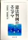 憲法判例のエニグマ