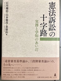 憲法訴訟の十字路 実務と学知のあいだ