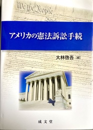 アメリカの憲法訴訟手続