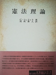 憲法理論