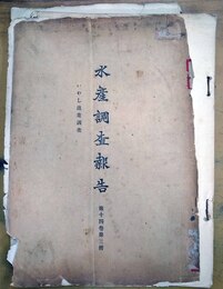 いわし漁業調査