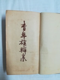 青年雄弁集