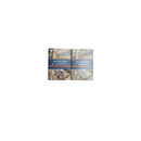 Workers in America: a historical encyclopedia