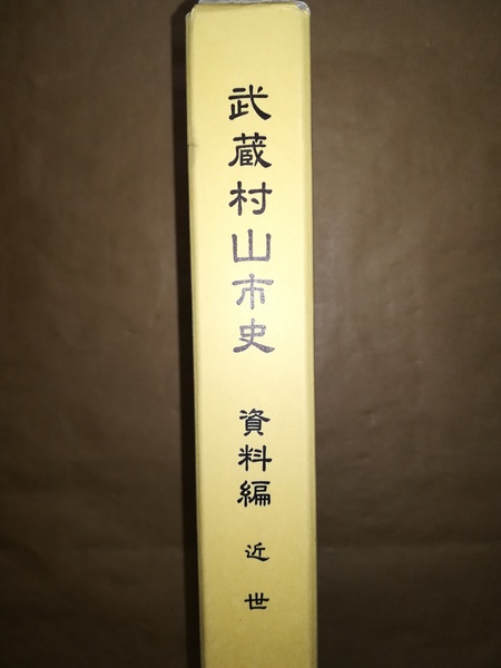 逐条解説刑事収容施設法 改訂版 | 林眞琴、北村篤ほか | 有斐閣