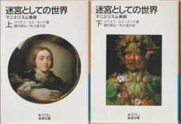 迷宮としての世界 : マニエリスム美術