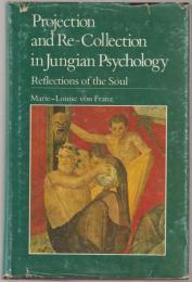 Projection and re-collection in Jungian psychology : reflections of the soul.