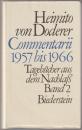 Commentarii : Tagebücher aus dem Nachlass.