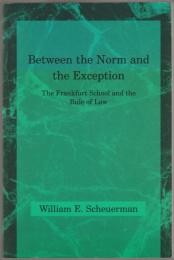 Between the norm and the exception : the Frankfurt School and the rule of law