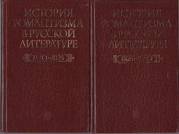 История романтизма в русской литературе　（ロシアロマン主義文学史）