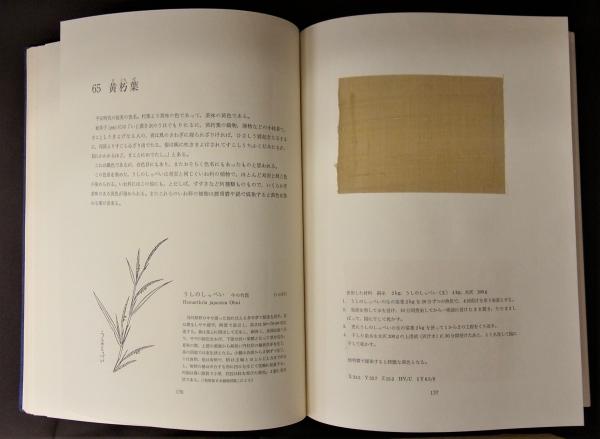 草木染　日本の色百二十色　山崎青樹 草木染 : 日本の色百二十色(山崎青樹 著) / 一心堂書店 / 古本